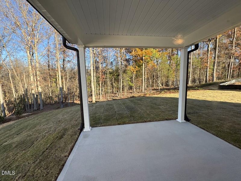 Photo Nov 16 2025, 3 41 03 PM (Medium)