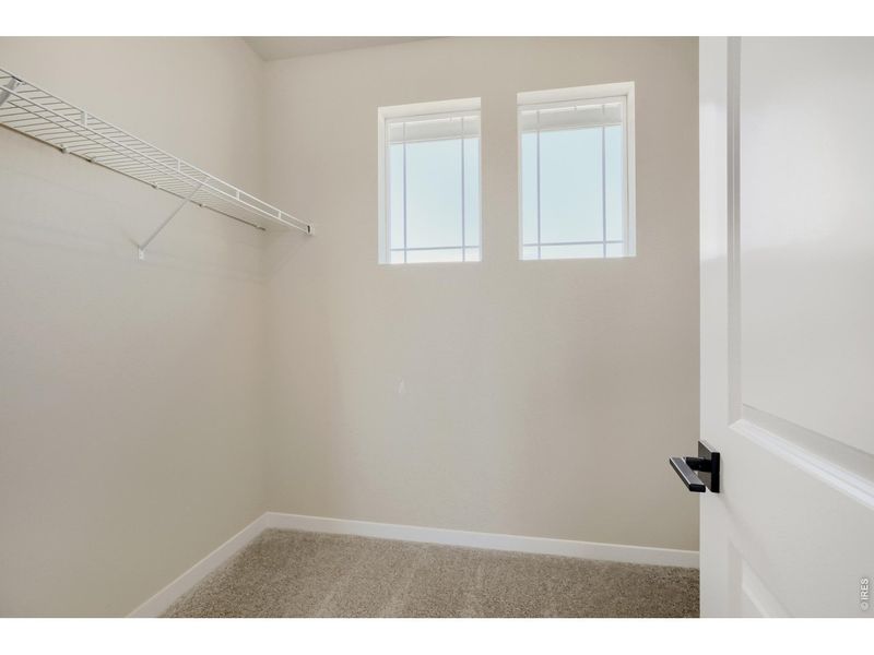 Spacious, unfurnished interior of a new home in Farmstead, Berthoud (Image 23).