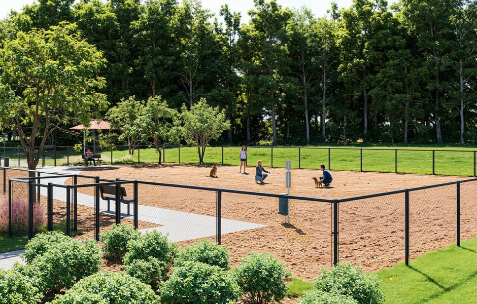 Community amenities in Forestville Station, Wake Forest (Image 14).