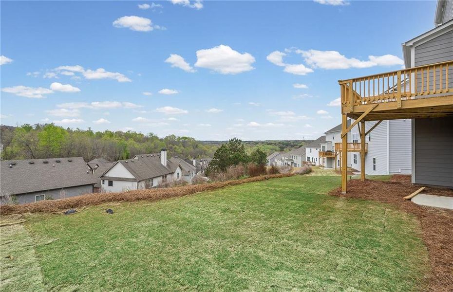 Exterior details and patio area of a home in Sierra Creek, Hoschton (Image 33).