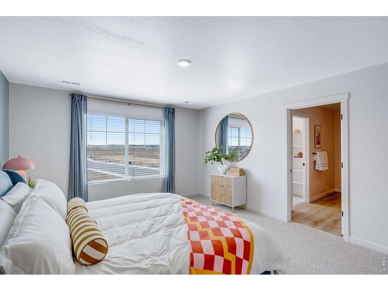 Furnished interior view inside a new home in Prairie Song, Windsor (Image 23).