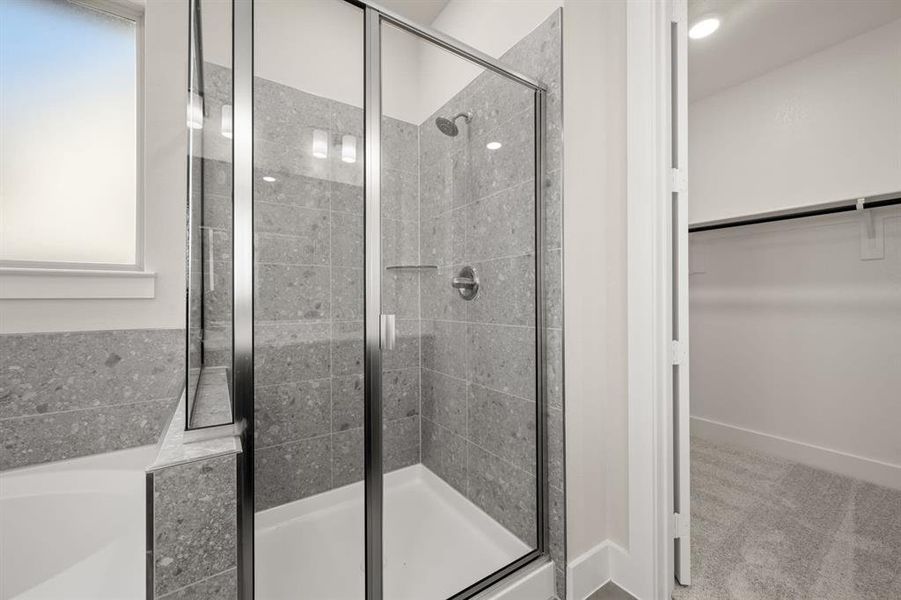 Discovery Collection at Bridgewater