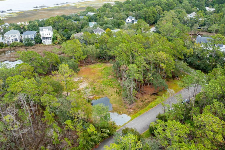 Natural landscape and outdoor views near  in Johns Island (Image 8).