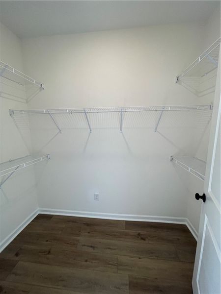 Spacious, unfurnished interior of a new home in Springwood Grove, Central (Image 13).