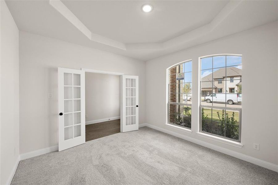 117 Grey Wolf- Study-1