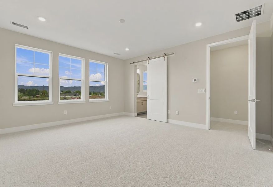 Homesite 269 Primary Bedroom - 12 of 18