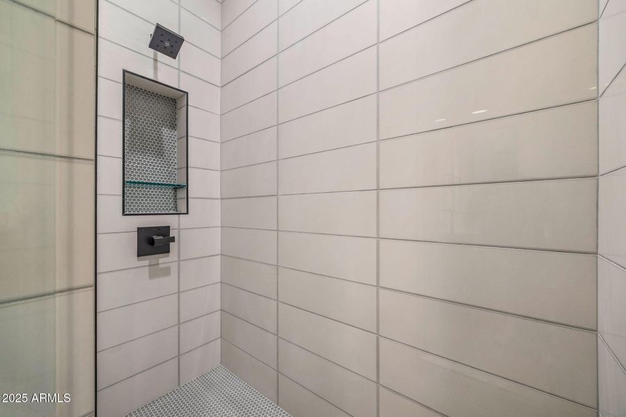 Lower Level Bathroom Shower