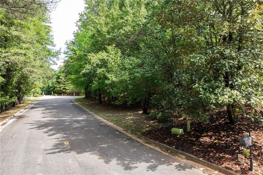 Natural landscape and outdoor views near in Gainesville (Image 10). Natural landscape and outdoor views near in Gainesville (Image 10).