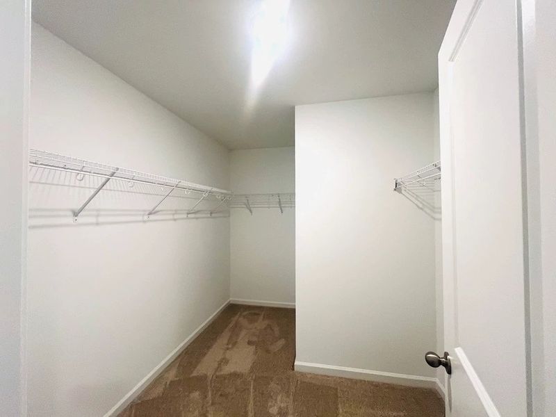 Spacious, unfurnished interior of a new home in Middleton Farms, Middlesex (Image 21).