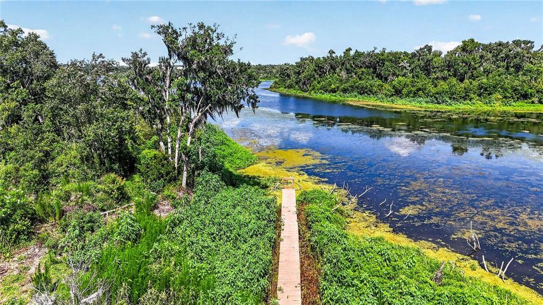 Natural landscape and outdoor views near  in Dade City (Image 57).