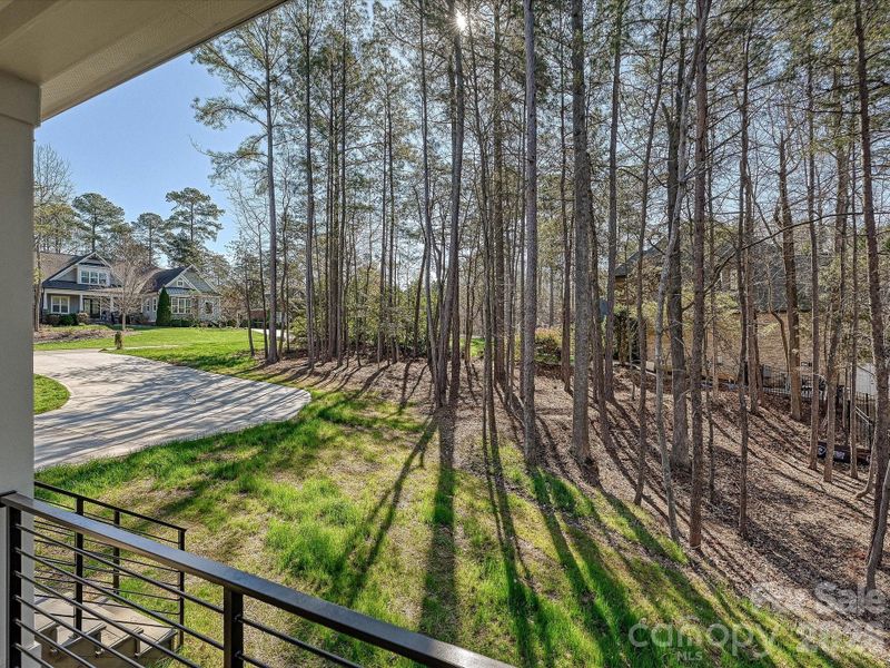 Peaceful wooded view from the covered deck overlooking a private backyard, offering a serene setting with natural privacy and scenic surroundings.