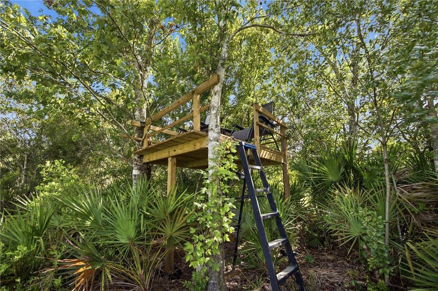 Natural landscape and outdoor views near in Wesley Chapel (Image 49). Natural landscape and outdoor views near in Wesley Chapel (Image 49).