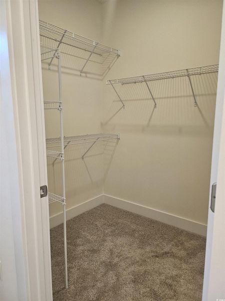 Spacious, unfurnished interior of a new home in Avery Woods, Longs (Image 22). Spacious, unfurnished interior of a new home in Avery Woods, Longs (Image 22).