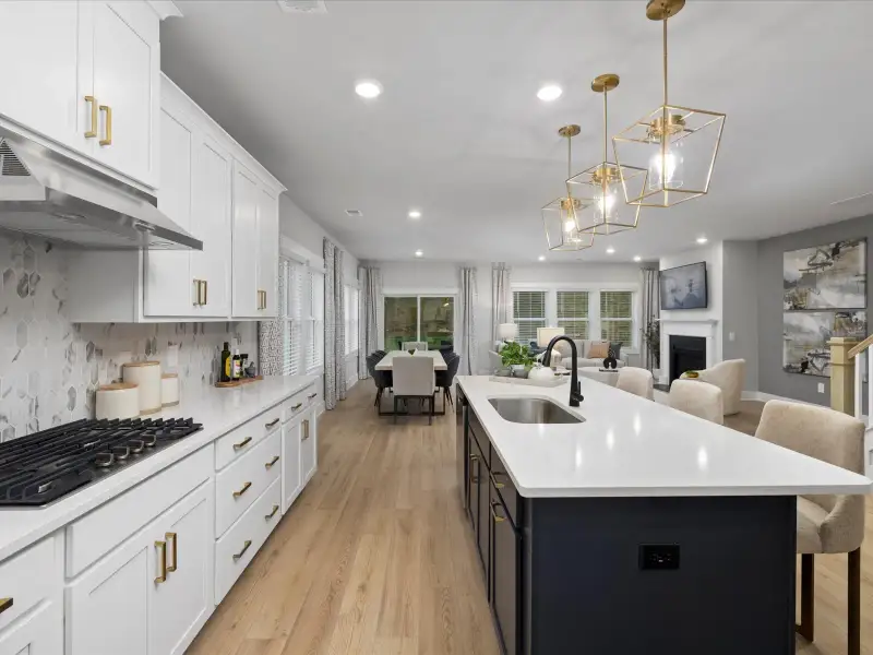 Furnished interior view inside a new home in Riverwood Farm, Piedmont (Image 5).