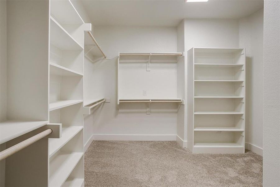 Walk in closet with light colored carpet