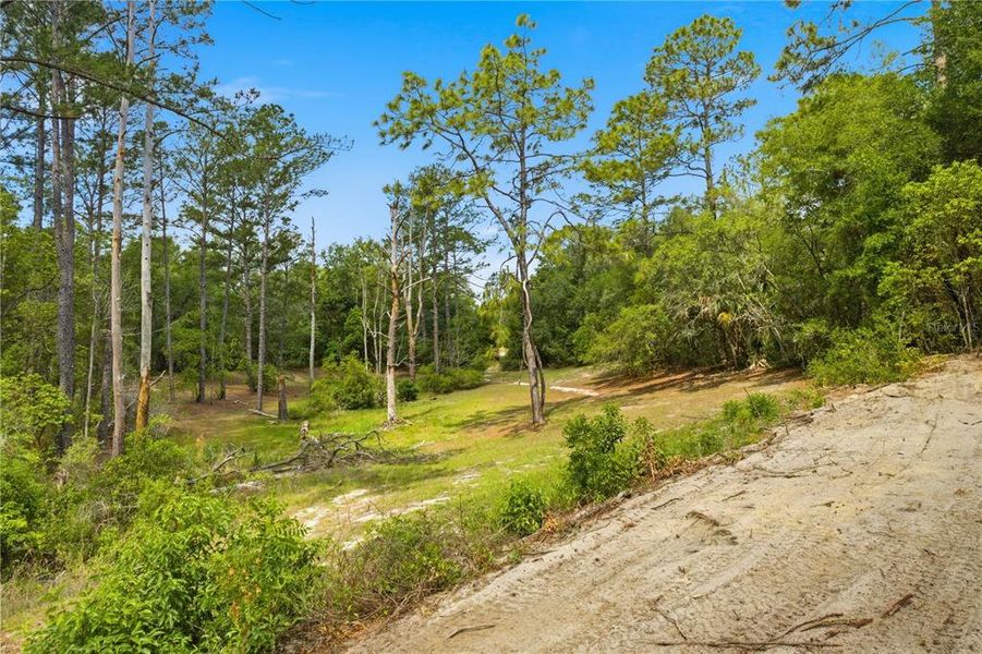 Natural landscape and outdoor views near  in Ocklawaha (Image 30).