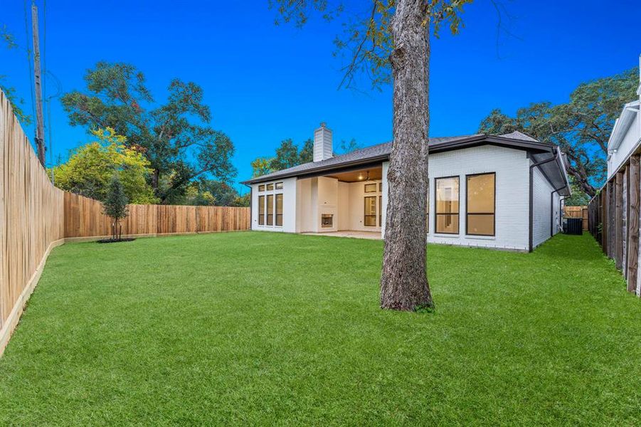 Another view of the backyard.