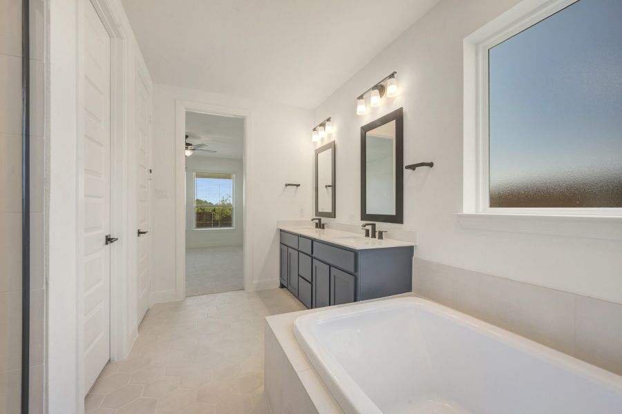 Owner's Bath