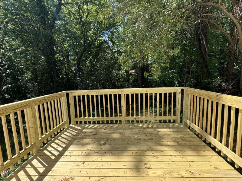 Back Deck Back Deck