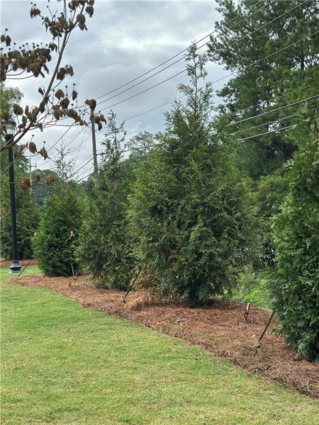 Image 32 of a home in Archerfield.