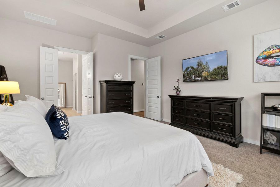 Recessed tray ceiling, light gray wall paint, white trim, five-panel interior doors, and carpet flooring