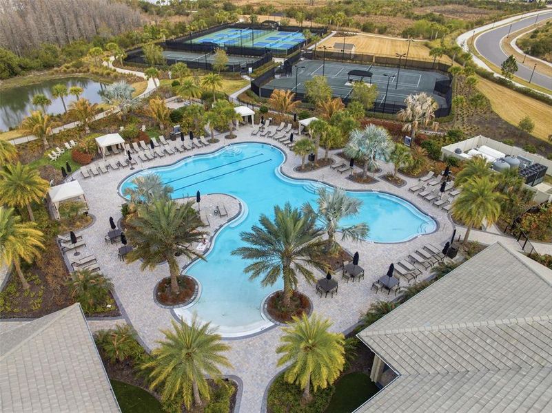 Community amenities in , Wesley Chapel (Image 24). Community amenities in , Wesley Chapel (Image 24).