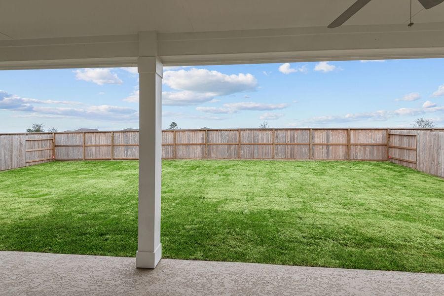 Backyard