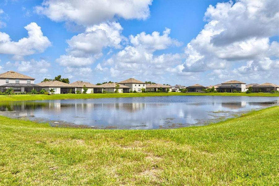 Natural landscape and outdoor views near  in Bradenton (Image 62).