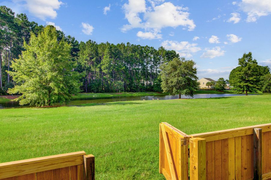 Natural landscape and outdoor views near  in Summerville (Image 57).