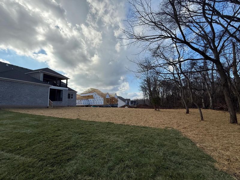 The Dresden D Exterior Rear