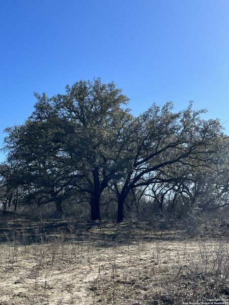 Image 15 of a home in .