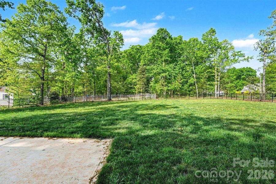 Natural landscape and outdoor views near  in Denver (Image 29).