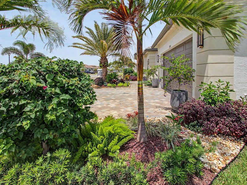 Front Landscaping Front Landscaping