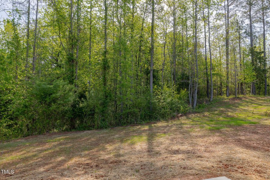 29-web-or-mls-109-Nutbush-Creek-29 29-web-or-mls-109-Nutbush-Creek-29