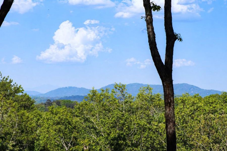 Natural landscape and outdoor views near  in Blue Ridge (Image 43).