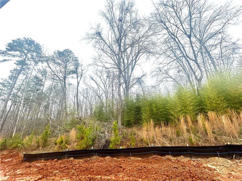 Natural landscape and outdoor views near in Locust Grove (Image 12). Natural landscape and outdoor views near in Locust Grove (Image 12).