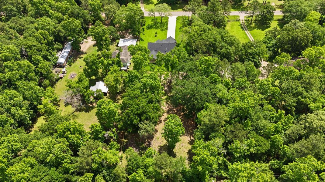 Natural landscape and outdoor views near  in Magnolia (Image 42).