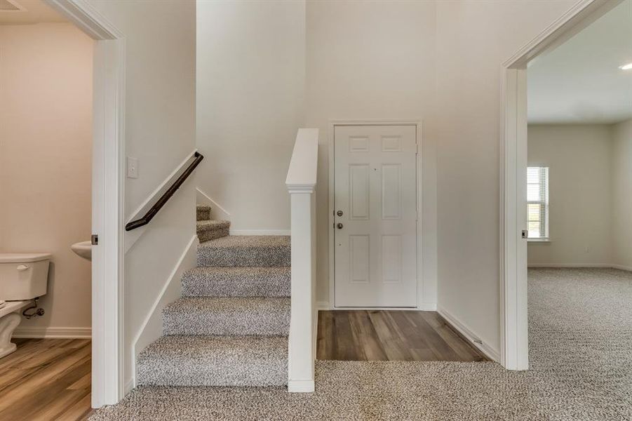 Stairs with carpet floors