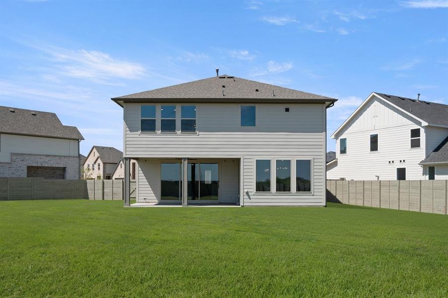 1550 Ginger- Back-1 1550 Ginger- Back-1