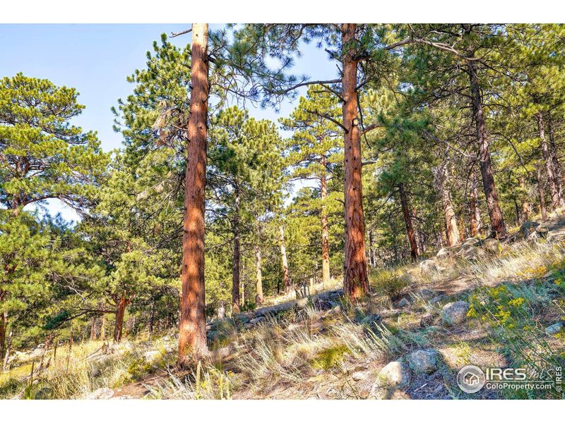 Image 20 of a home in . Image 20 of a home in .