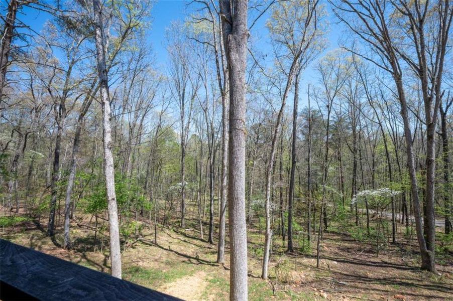Natural landscape and outdoor views near  in Mineral Bluff (Image 45).