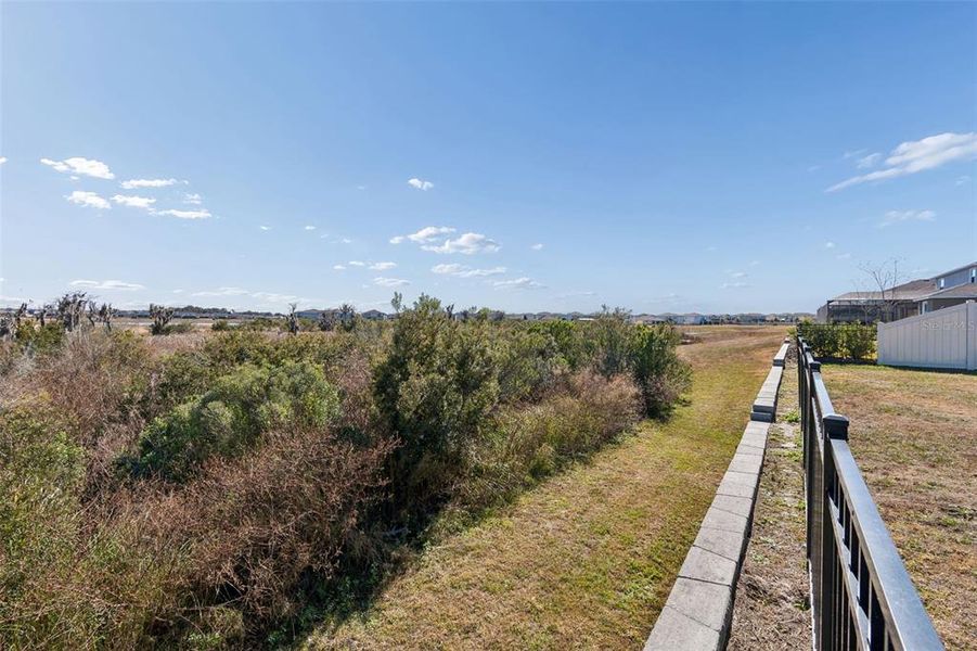 Natural landscape and outdoor views near  in Wesley Chapel (Image 57).