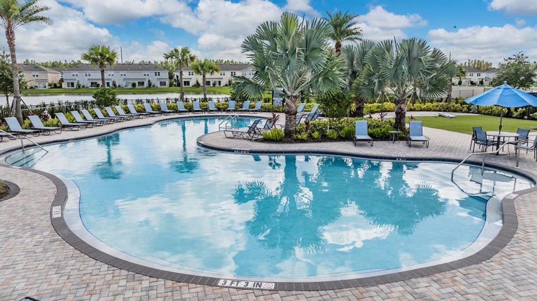 Community amenities in , Wesley Chapel (Image 25). Community amenities in , Wesley Chapel (Image 25).