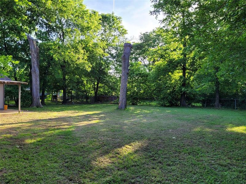 Natural landscape and outdoor views near  in Paris (Image 36).