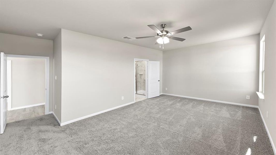 19. 3100 Areca - Primary (2) 19. 3100 Areca - Primary (2)