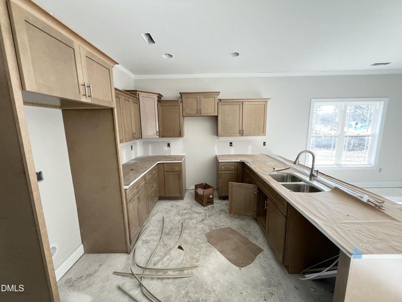 IMG_7103 2 IMG_7103 2