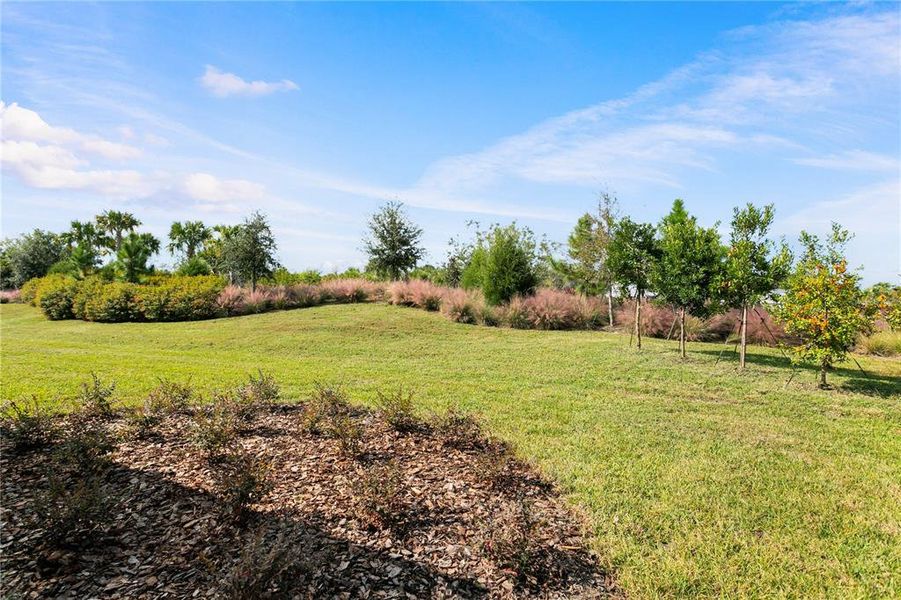 Natural landscape and outdoor views near  in Odessa (Image 72).