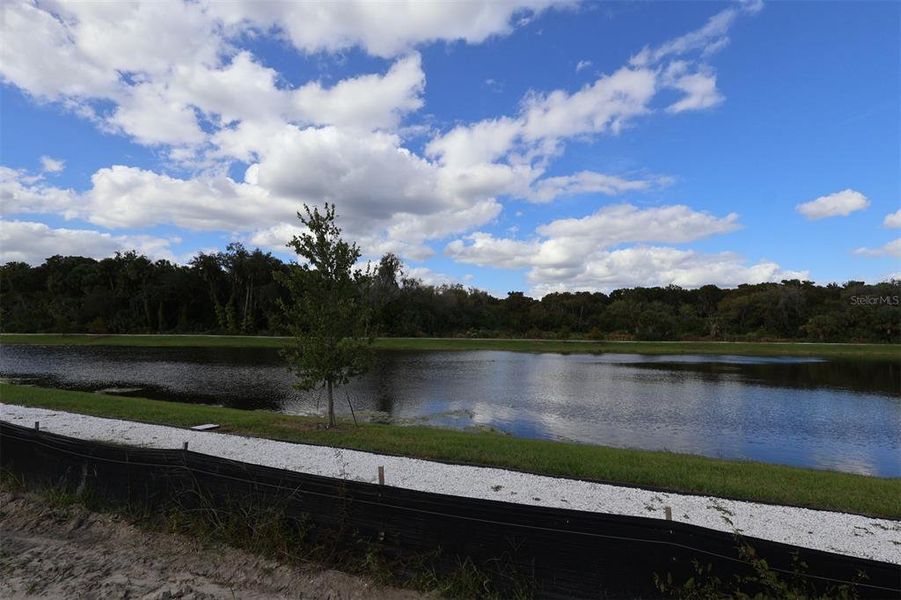 Natural landscape and outdoor views near Estates at Rivercrest in Sanford (Image 18). Natural landscape and outdoor views near Estates at Rivercrest in Sanford (Image 18).