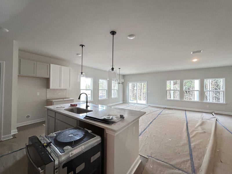 In-progress construction of a new home in Tea Farm, Ravenel, SC (Image 30). In-progress construction of a new home in Tea Farm, Ravenel, SC (Image 30).