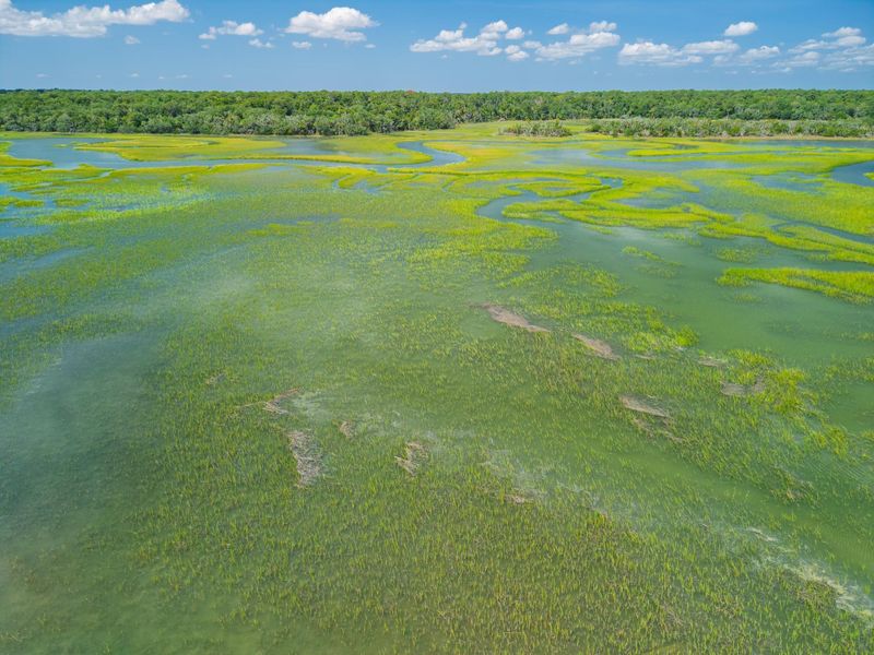 Natural landscape and outdoor views near in Edisto Island (Image 70). Natural landscape and outdoor views near in Edisto Island (Image 70).